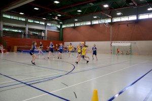 Handball F-Jugend Turnier