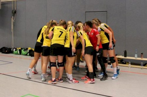 News aus der Handballabteilung